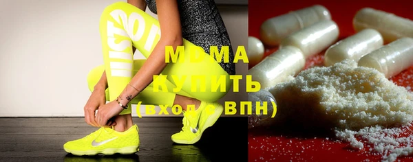 индика Алексин