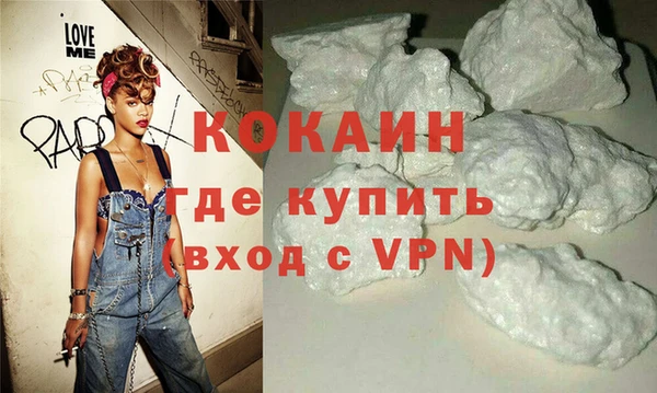индика Алексин