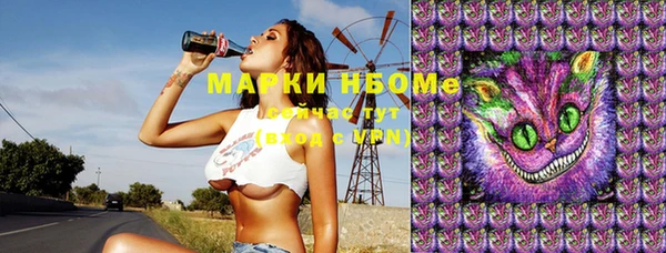 индика Алексеевка