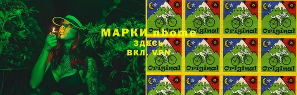 индика Алексин
