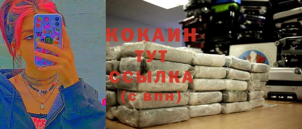 индика Алексеевка