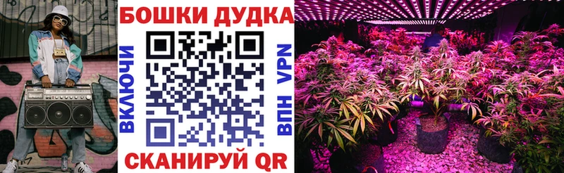 ОМГ ОМГ tor  Лукоянов  Канабис Bruce Banner  закладки 